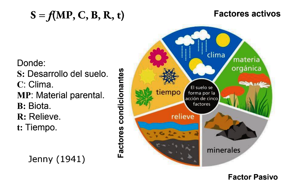 Videos de  Formacion de suelos
